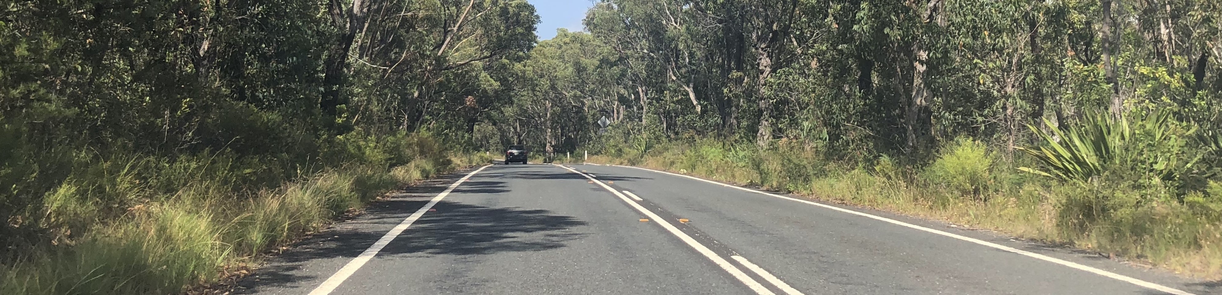 Can A NSW Learner Driver Drive in Victoria | LTrent Driving School