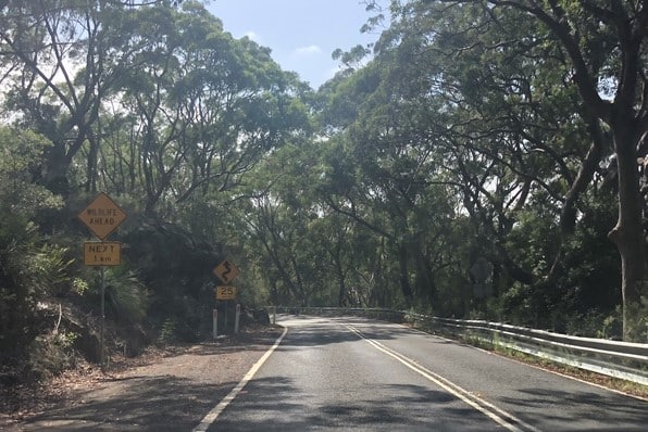 Royal National Park - Open Road