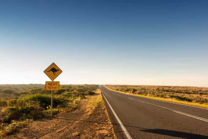 Safely Driving On Country Roads